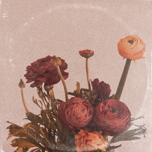 欧美日韩国产一区吃瓜
